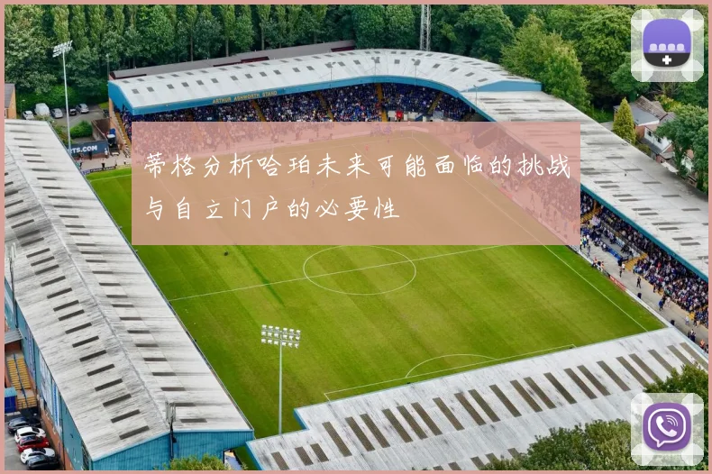 蒂格分析哈珀未来可能面临的挑战与自立门户的必要性